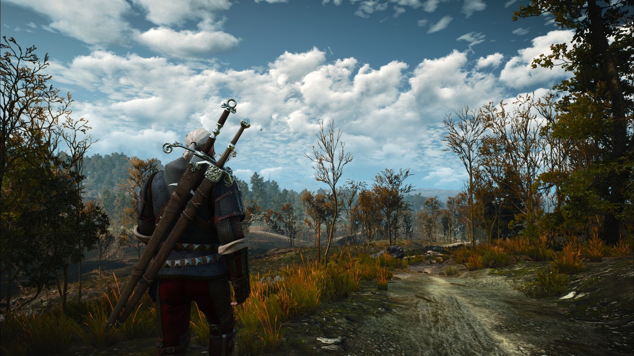 The Witcher 3 Ursine Armor Guide