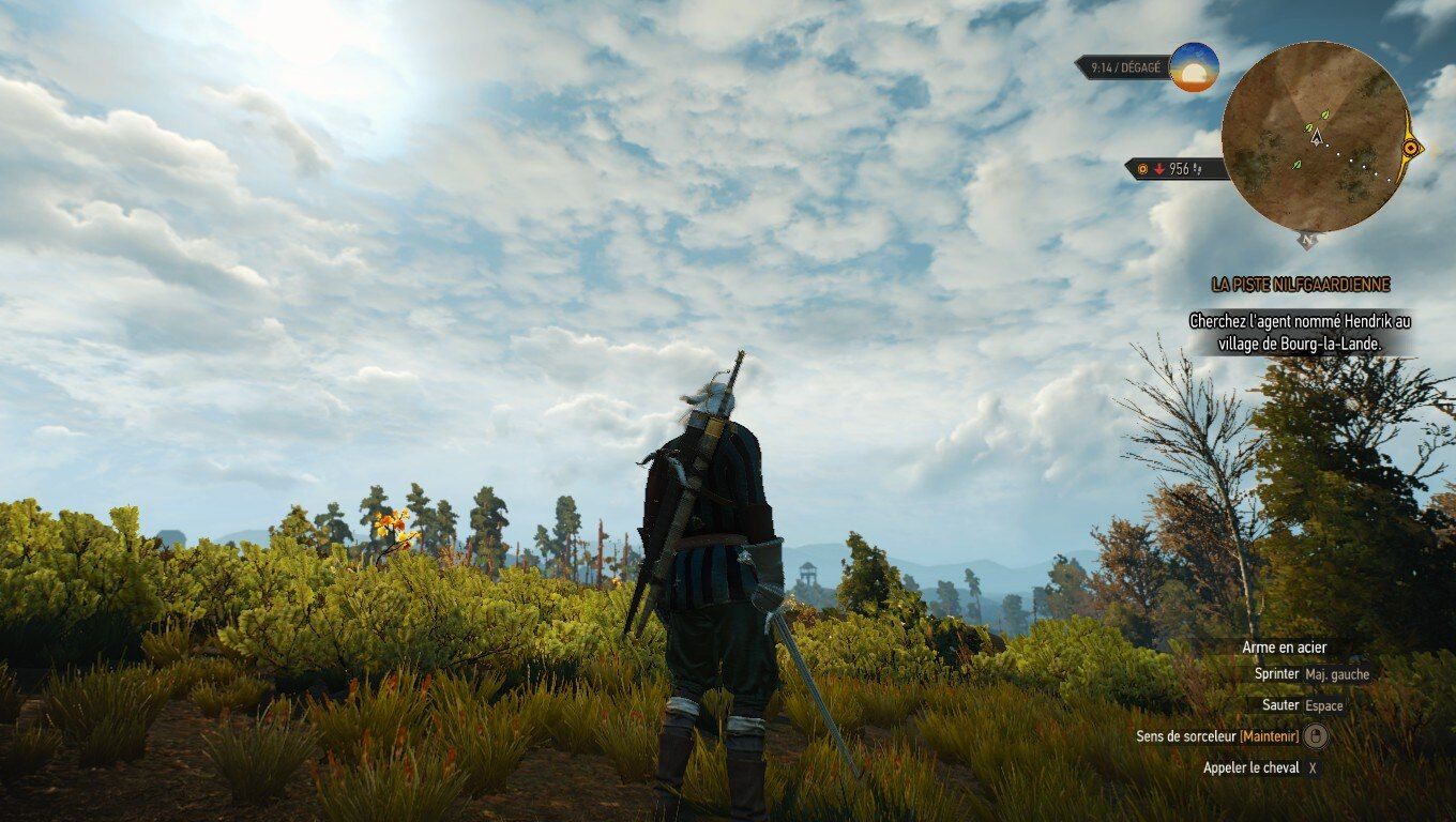 Witcher 3